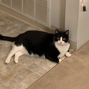 Meet your Posher, Austin